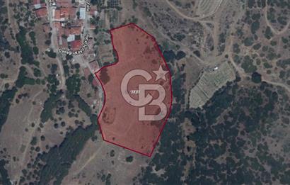 CB ODAK'TAN MANİSA SARIGÖL DADAĞLI’DA KÖY İÇİ KONUMDA GENİŞ TARLA