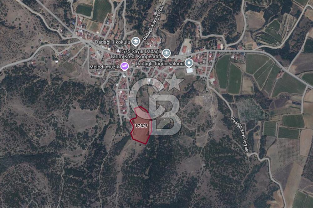 CB ODAK'TAN MANİSA SARIGÖL DADAĞLI’DA KÖY İÇİ KONUMDA GENİŞ TARLA