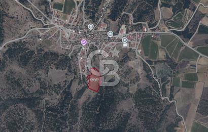 CB ODAK'TAN MANİSA SARIGÖL DADAĞLI’DA KÖY İÇİ KONUMDA GENİŞ TARLA