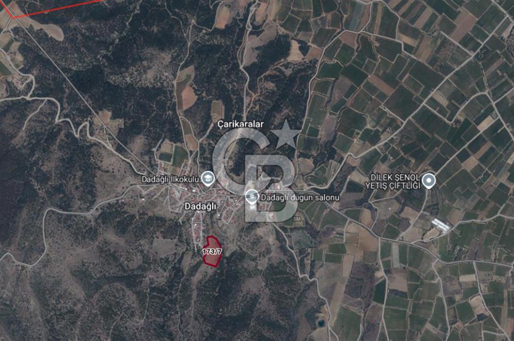 CB ODAK'TAN MANİSA SARIGÖL DADAĞLI’DA KÖY İÇİ KONUMDA GENİŞ TARLA