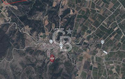 CB ODAK'TAN MANİSA SARIGÖL DADAĞLI’DA KÖY İÇİ KONUMDA GENİŞ TARLA