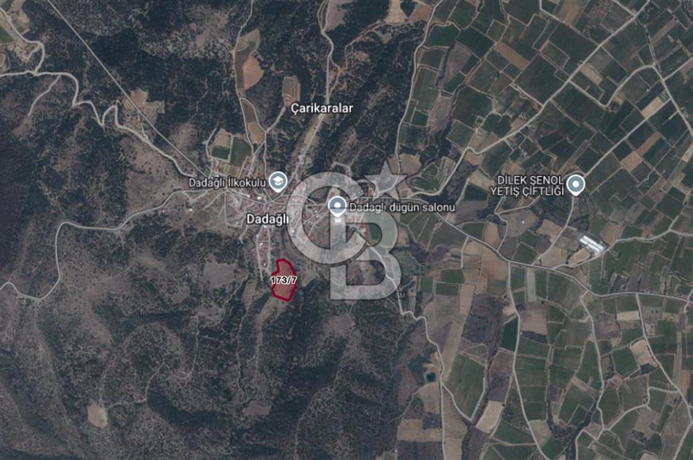 CB ODAK'TAN MANİSA SARIGÖL DADAĞLI’DA KÖY İÇİ KONUMDA GENİŞ TARLA