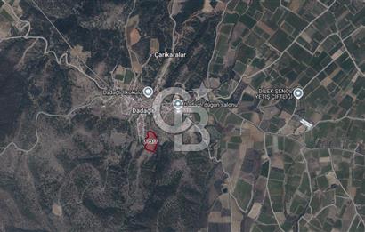 CB ODAK'TAN MANİSA SARIGÖL DADAĞLI’DA KÖY İÇİ KONUMDA GENİŞ TARLA