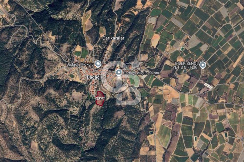 CB ODAK'TAN MANİSA SARIGÖL DADAĞLI’DA KÖY İÇİ KONUMDA GENİŞ TARLA