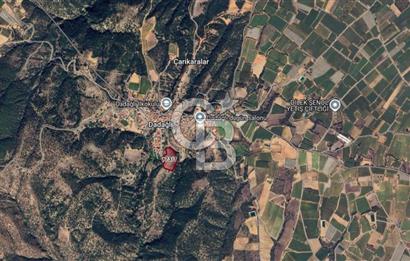 CB ODAK'TAN MANİSA SARIGÖL DADAĞLI’DA KÖY İÇİ KONUMDA GENİŞ TARLA