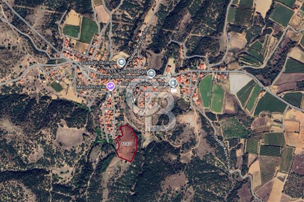 CB ODAK'TAN MANİSA SARIGÖL DADAĞLI’DA KÖY İÇİ KONUMDA GENİŞ TARLA
