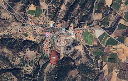 CB ODAK'TAN MANİSA SARIGÖL DADAĞLI’DA KÖY İÇİ KONUMDA GENİŞ TARLA