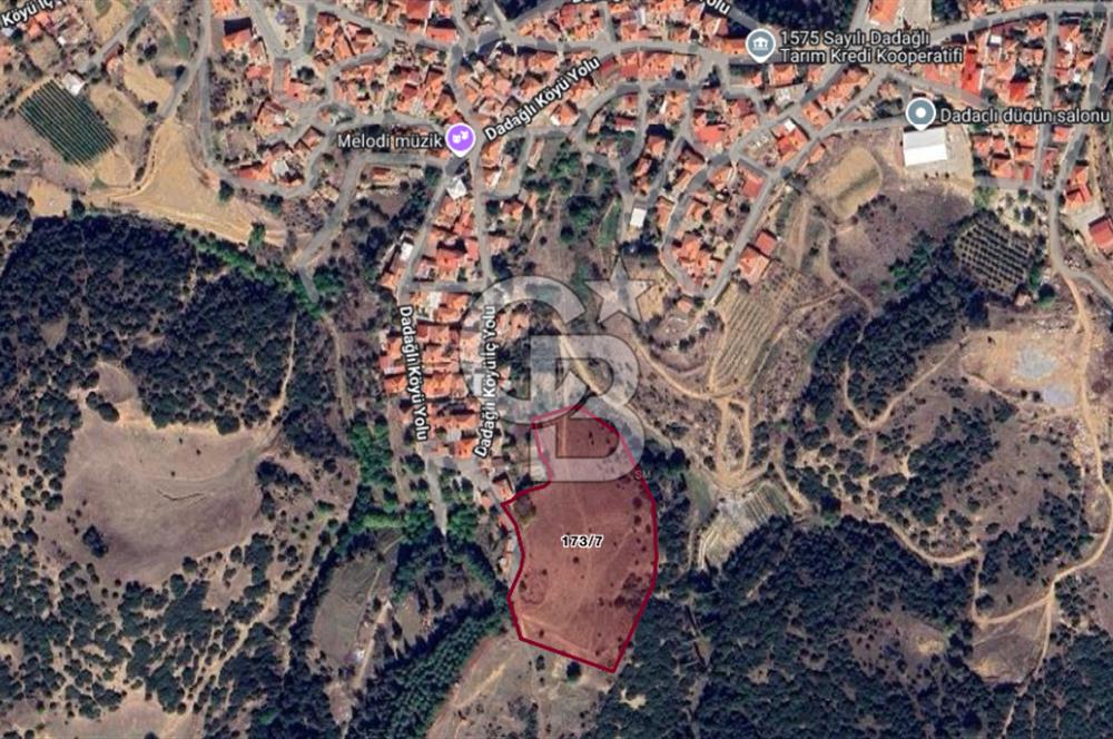 CB ODAK'TAN MANİSA SARIGÖL DADAĞLI’DA KÖY İÇİ KONUMDA GENİŞ TARLA