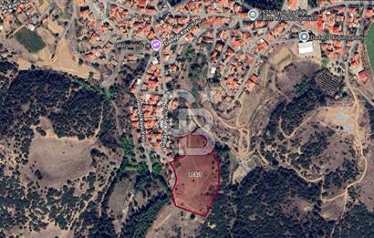 CB ODAK'TAN MANİSA SARIGÖL DADAĞLI’DA KÖY İÇİ KONUMDA GENİŞ TARLA