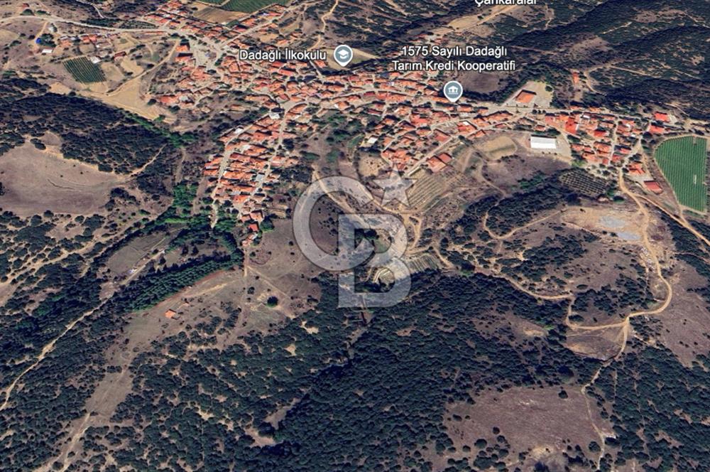 CB ODAK'TAN MANİSA SARIGÖL DADAĞLI’DA KÖY İÇİ KONUMDA GENİŞ TARLA