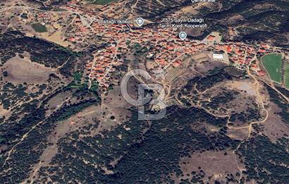 CB ODAK'TAN MANİSA SARIGÖL DADAĞLI’DA KÖY İÇİ KONUMDA GENİŞ TARLA