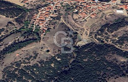 CB ODAK'TAN MANİSA SARIGÖL DADAĞLI’DA KÖY İÇİ KONUMDA GENİŞ TARLA