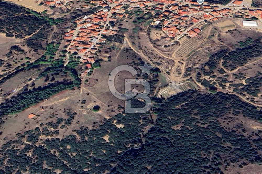 CB ODAK'TAN MANİSA SARIGÖL DADAĞLI’DA KÖY İÇİ KONUMDA GENİŞ TARLA