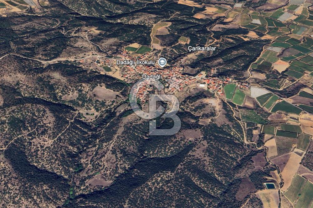 CB ODAK'TAN MANİSA SARIGÖL DADAĞLI’DA KÖY İÇİ KONUMDA GENİŞ TARLA