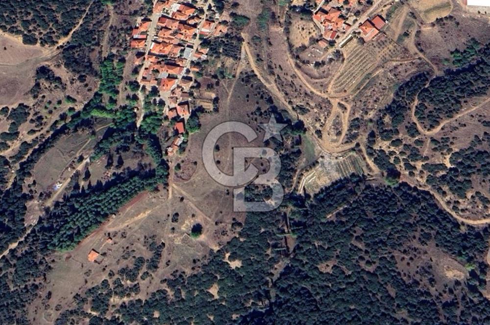 CB ODAK'TAN MANİSA SARIGÖL DADAĞLI’DA KÖY İÇİ KONUMDA GENİŞ TARLA