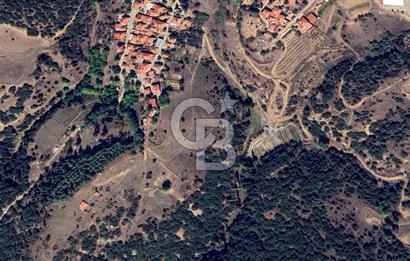 CB ODAK'TAN MANİSA SARIGÖL DADAĞLI’DA KÖY İÇİ KONUMDA GENİŞ TARLA