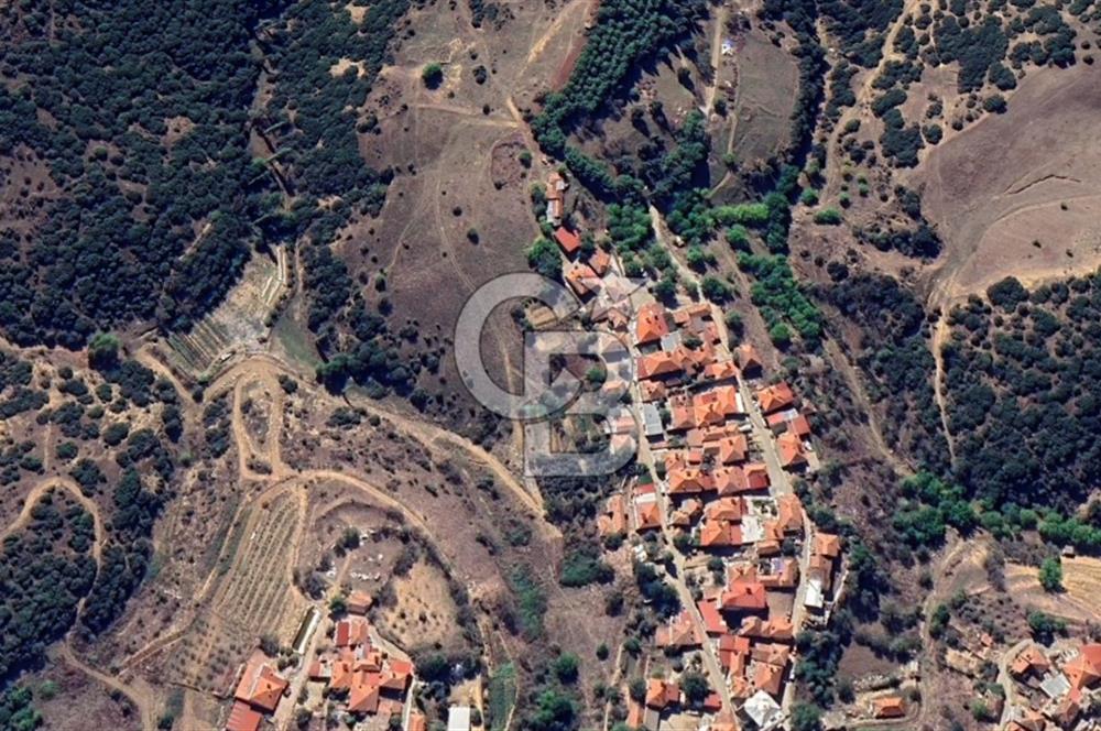 CB ODAK'TAN MANİSA SARIGÖL DADAĞLI’DA KÖY İÇİ KONUMDA GENİŞ TARLA