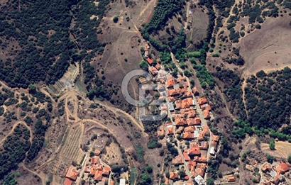 CB ODAK'TAN MANİSA SARIGÖL DADAĞLI’DA KÖY İÇİ KONUMDA GENİŞ TARLA