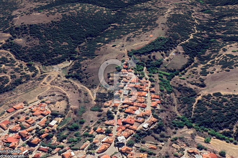 CB ODAK'TAN MANİSA SARIGÖL DADAĞLI’DA KÖY İÇİ KONUMDA GENİŞ TARLA