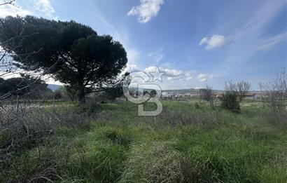 Urla Barbaros Köyünde Satılık Müstakil Tapulu Arazi