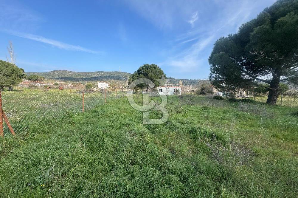 Urla Barbaros Köyünde Satılık Müstakil Tapulu Arazi