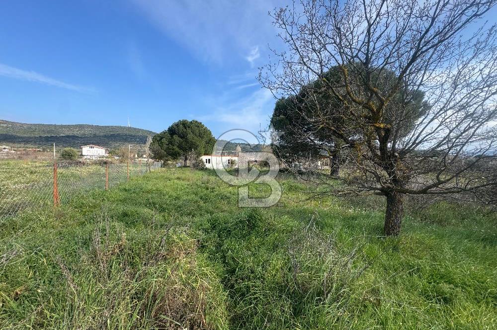 Urla Barbaros Köyünde Satılık Müstakil Tapulu Arazi