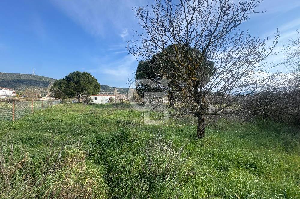 Urla Barbaros Köyünde Satılık Müstakil Tapulu Arazi