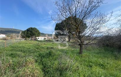 Urla Barbaros Köyünde Satılık Müstakil Tapulu Arazi