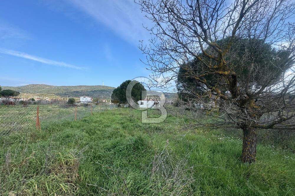 Urla Barbaros Köyünde Satılık Müstakil Tapulu Arazi