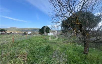 Urla Barbaros Köyünde Satılık Müstakil Tapulu Arazi