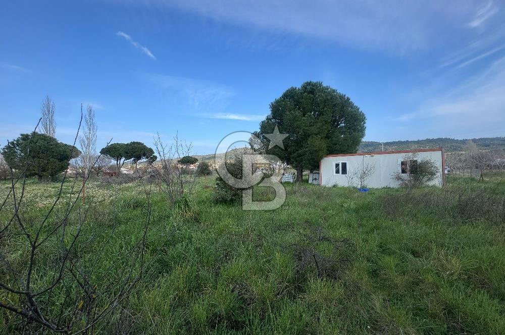 Urla Barbaros Köyünde Satılık Müstakil Tapulu Arazi