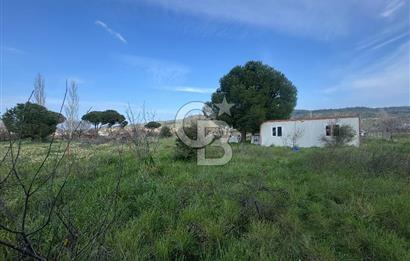 Urla Barbaros Köyünde Satılık Müstakil Tapulu Arazi