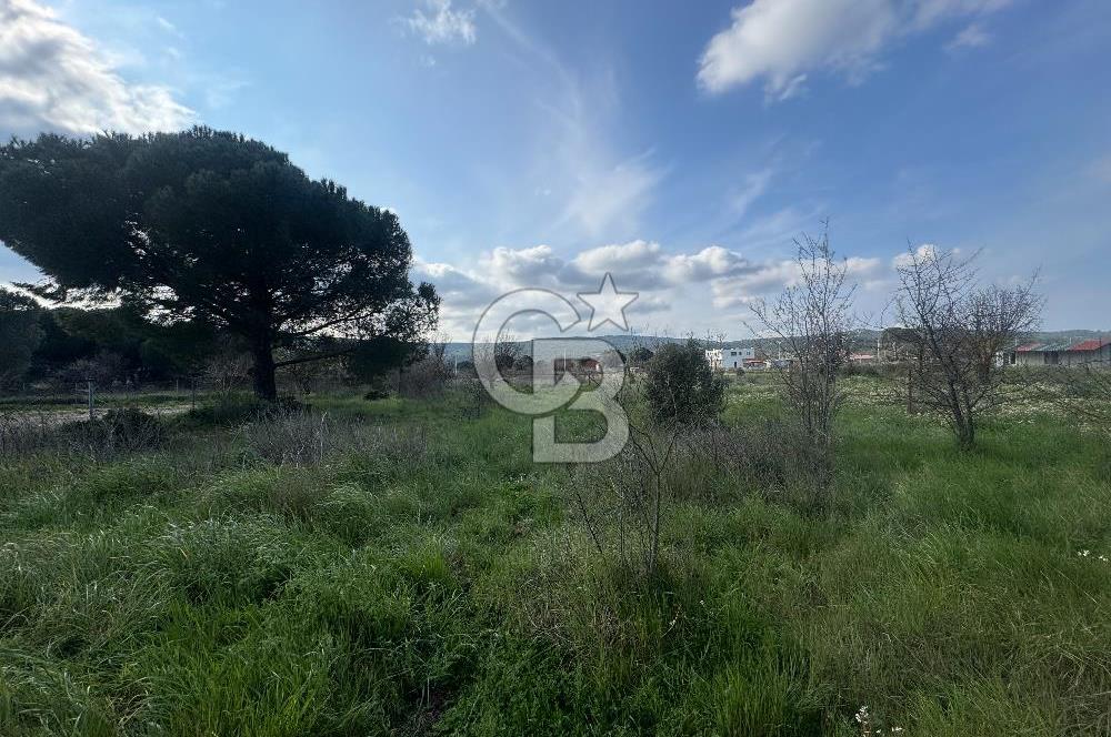 Urla Barbaros Köyünde Satılık Müstakil Tapulu Arazi