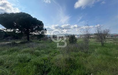 Urla Barbaros Köyünde Satılık Müstakil Tapulu Arazi