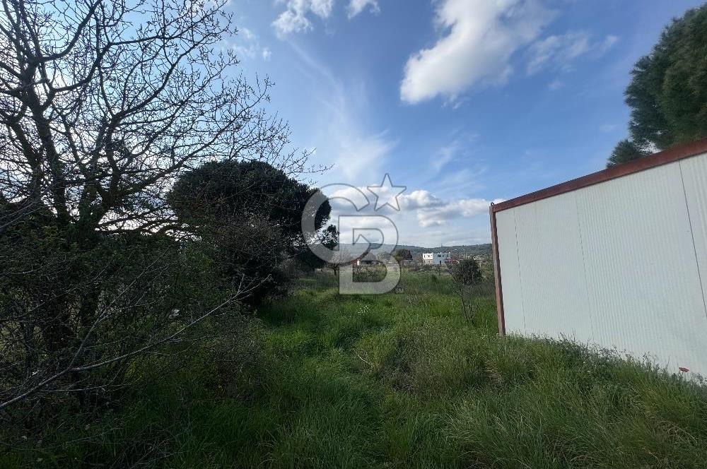 Urla Barbaros Köyünde Satılık Müstakil Tapulu Arazi