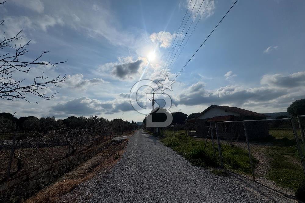 Urla Barbaros Köyünde Satılık Müstakil Tapulu Arazi