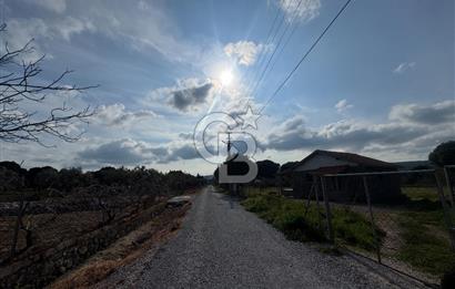 Urla Barbaros Köyünde Satılık Müstakil Tapulu Arazi