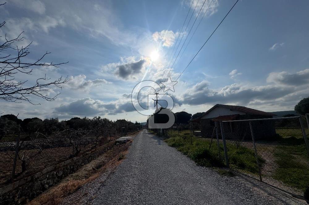 Urla Barbaros Köyünde Satılık Müstakil Tapulu Arazi