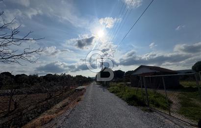 Urla Barbaros Köyünde Satılık Müstakil Tapulu Arazi