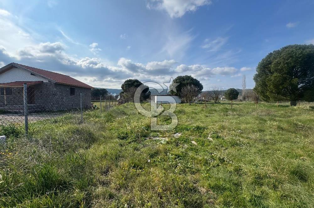 Urla Barbaros Köyünde Satılık Müstakil Tapulu Arazi