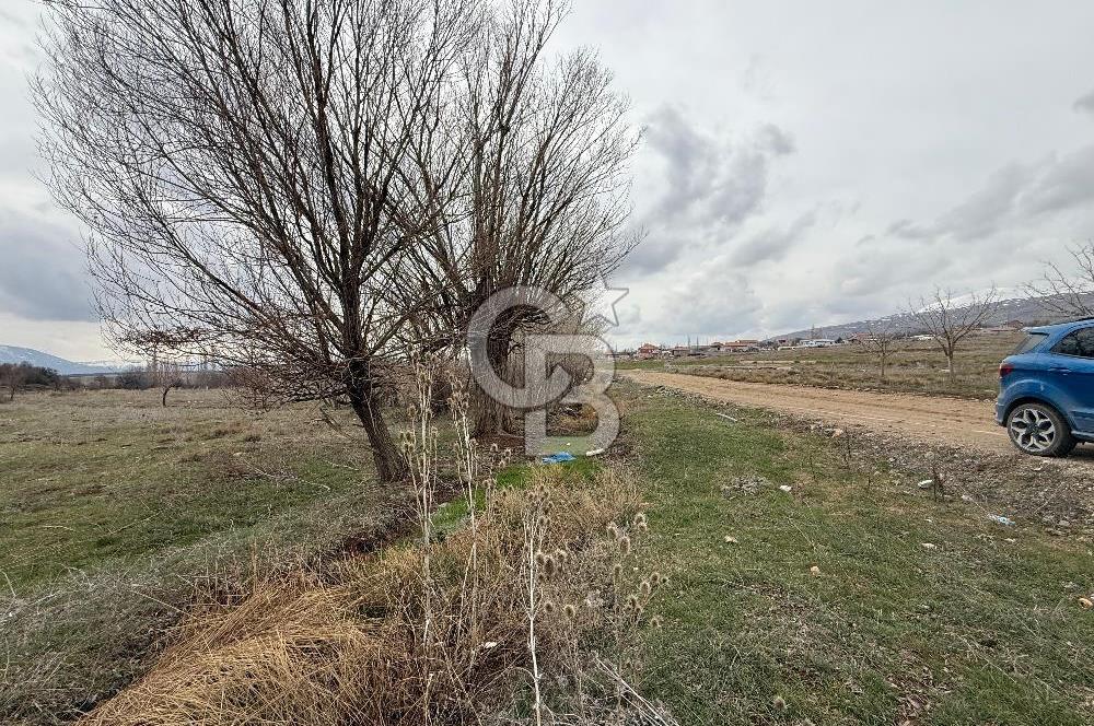 COLDWELL BANKER SAFİR'den DOĞANŞEHİR DE SATILIK SULU TARLA