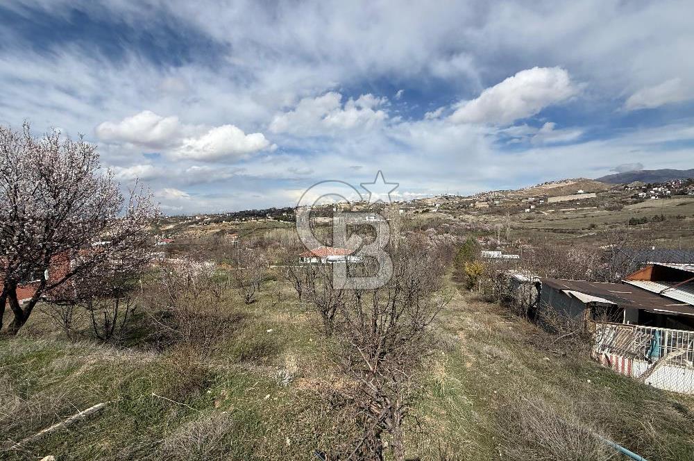 COLDWELL BANKER SAFİR'den MULLAKASIM da KAT KARŞILIĞI ARSA