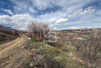 COLDWELL BANKER SAFİR'den MULLAKASIM da KAT KARŞILIĞI ARSA - 10 - 342524