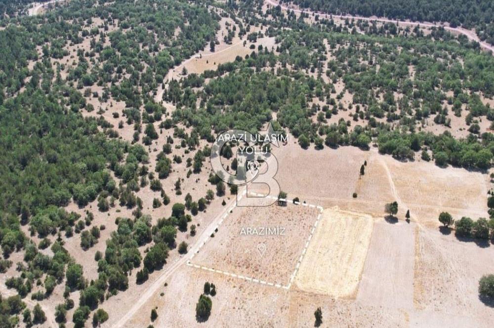 KÜTAHYA MERKEZ SAĞIRLAR SATILIK 3 DÖNÜM TARLA