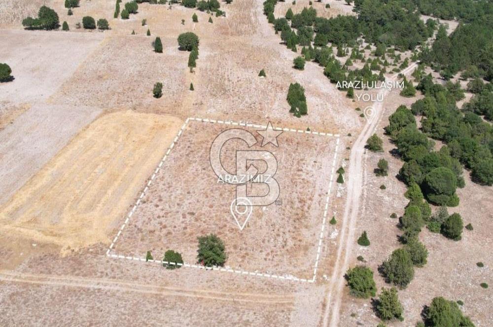 KÜTAHYA MERKEZ SAĞIRLAR SATILIK 3 DÖNÜM TARLA