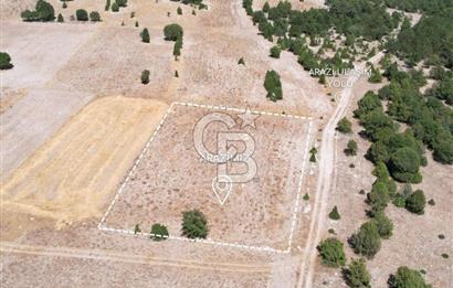 KÜTAHYA MERKEZ SAĞIRLAR SATILIK 3 DÖNÜM TARLA