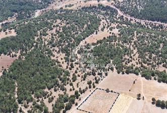 KÜTAHYA MERKEZ SAĞIRLAR SATILIK 3 DÖNÜM TARLA - 4 - 342625