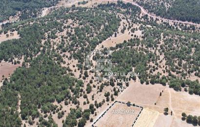 KÜTAHYA MERKEZ SAĞIRLAR SATILIK 3 DÖNÜM TARLA