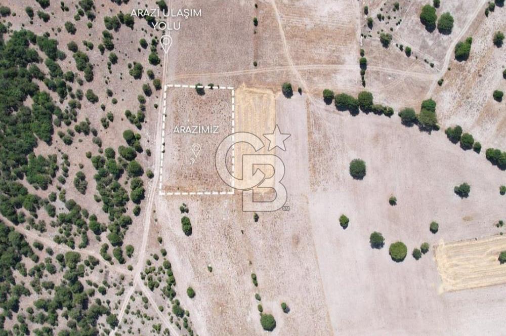 KÜTAHYA MERKEZ SAĞIRLAR SATILIK 3 DÖNÜM TARLA