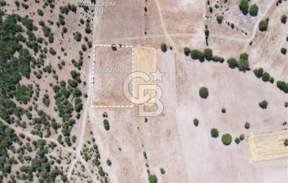 KÜTAHYA MERKEZ SAĞIRLAR SATILIK 3 DÖNÜM TARLA